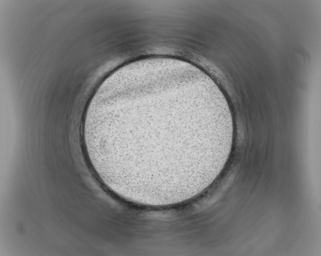 X0000113290625200910131027