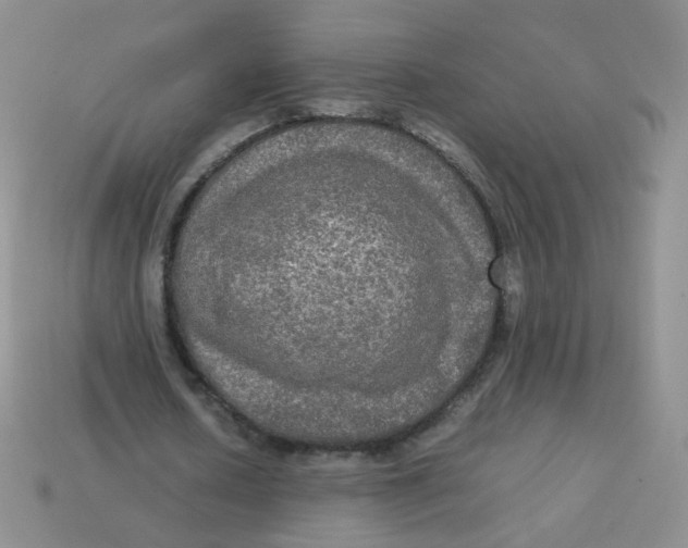 X0000113290626200910131027
