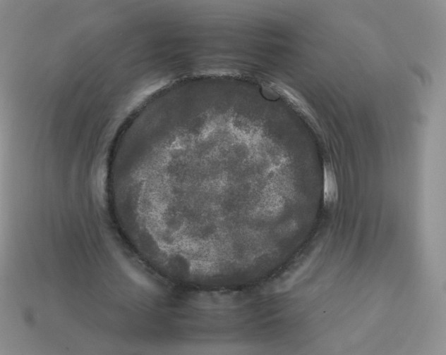 X0000113290627200910131027
