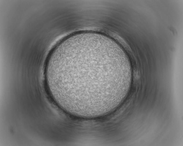 X0000113290628200910131027