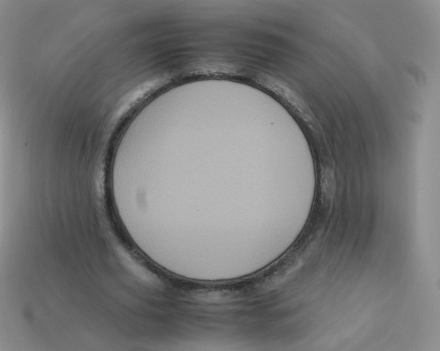 X0000113290629200910131027