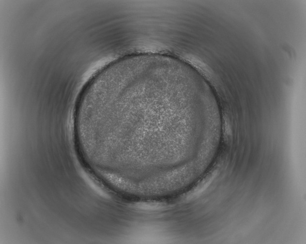 X0000113290630200910131027