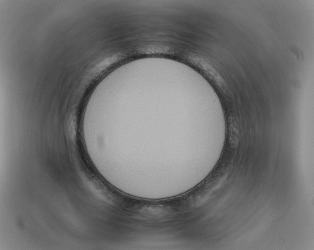 X0000113290631200910131027