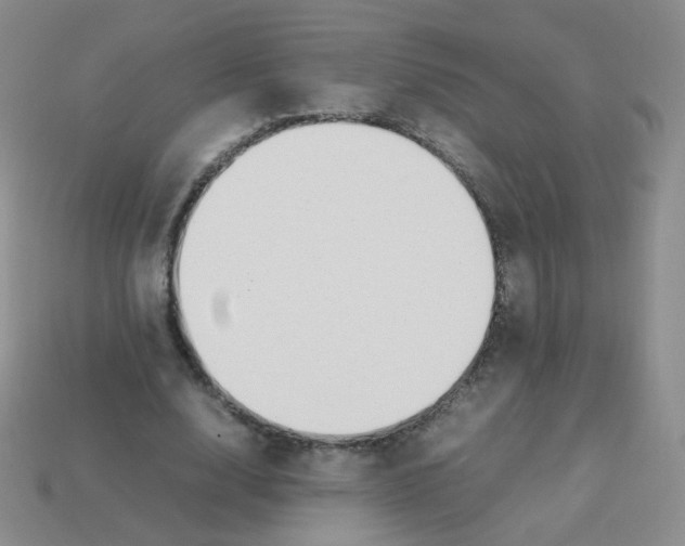 X0000113290632200910131027