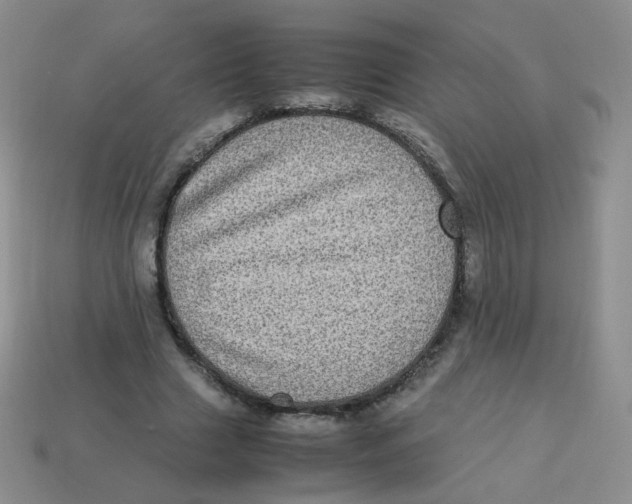 X0000113290633200910131027
