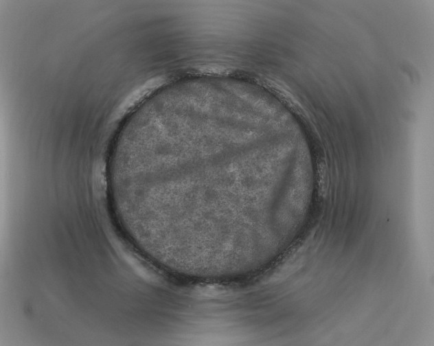 X0000113290634200910131027