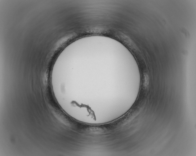 X0000113290636200910131027