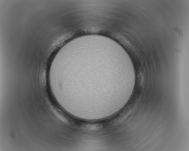 X0000113290638200910131027