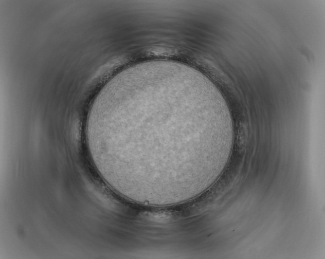 X0000113290639200910131027