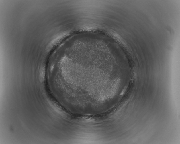 X0000113290640200910131027