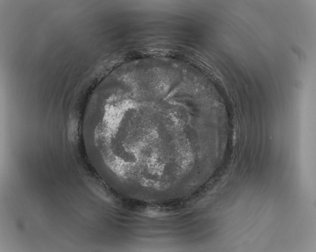 X0000113290641200910131027