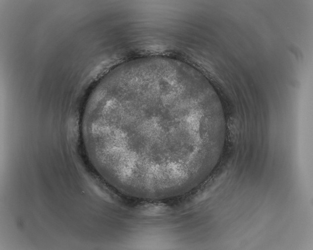 X0000113290642200910131027