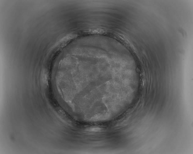 X0000113290643200910131027