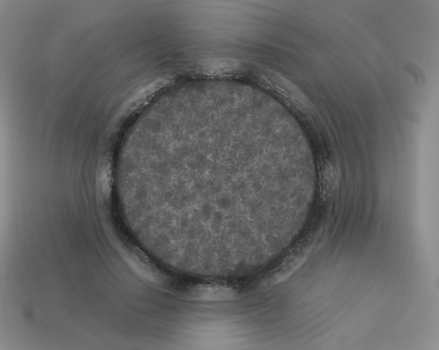 X0000113290644200910131027