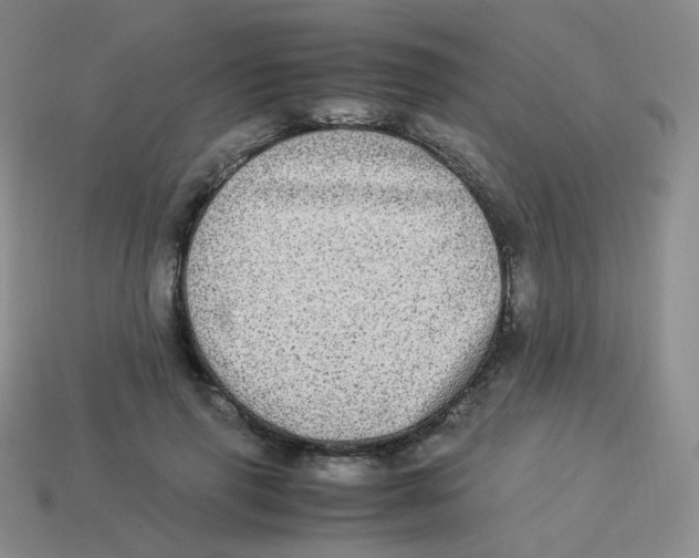 X0000113290645200910131027