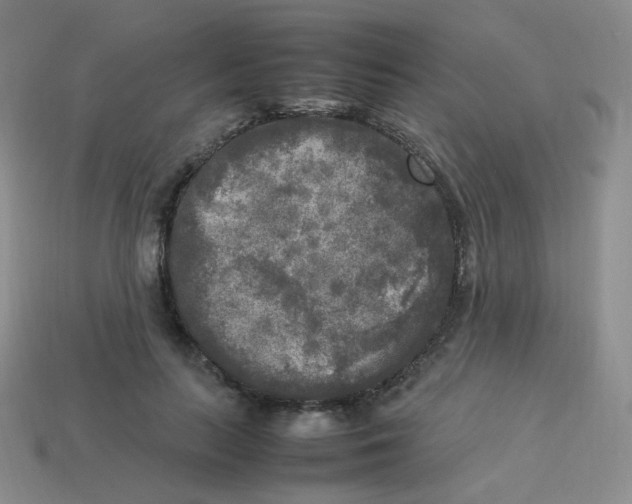 X0000113290647200910131027