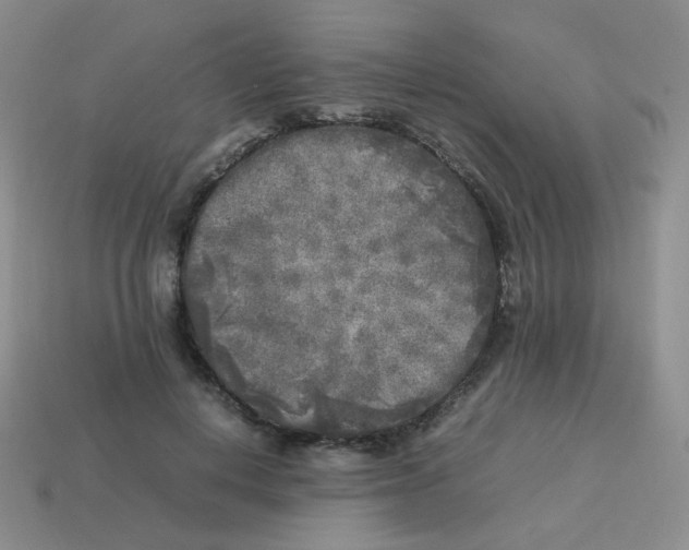 X0000113290648200910131027