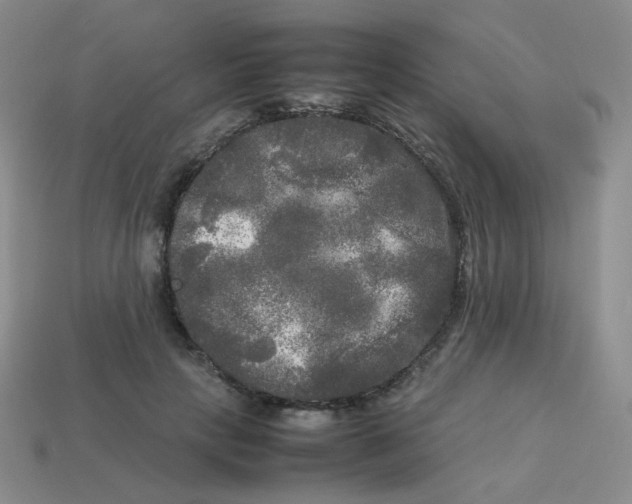 X0000113290649200910131027