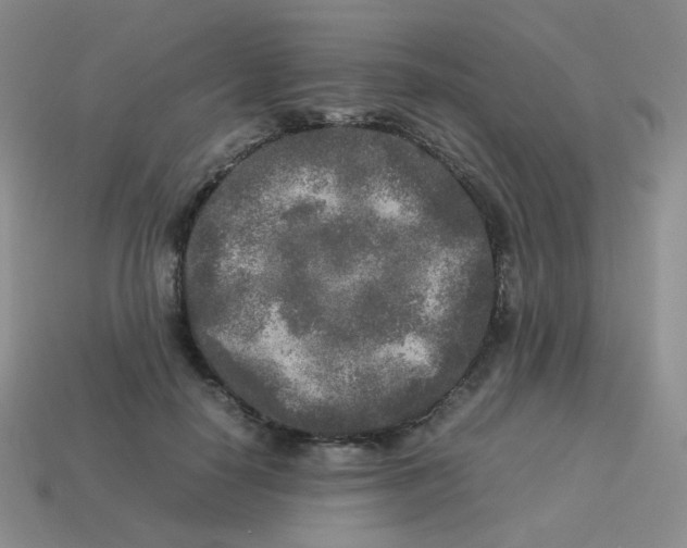 X0000113290650200910131027