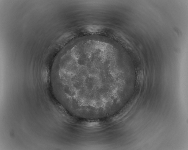 X0000113290651200910131027