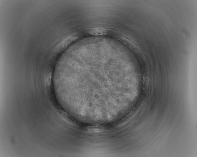 X0000113290652200910131027