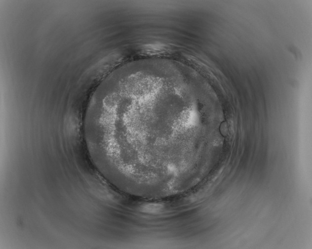 X0000113290653200910131027