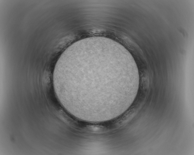 X0000113290654200910131027