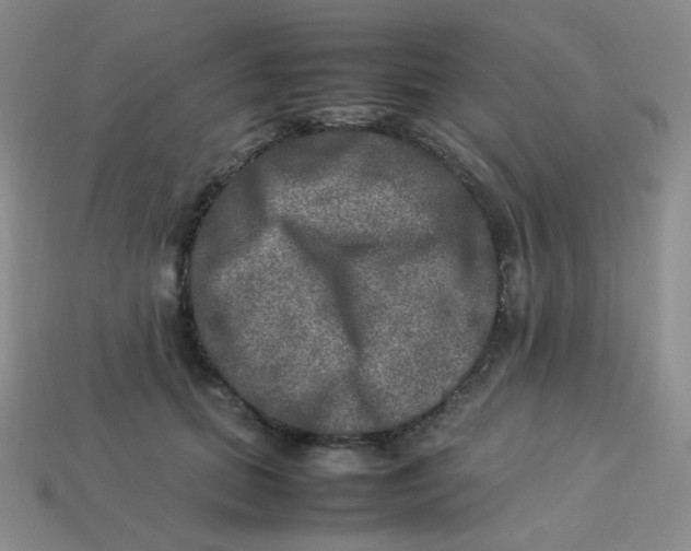 X0000113290655200910131027