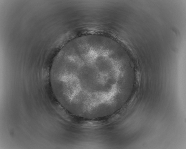 X0000113290657200910131027