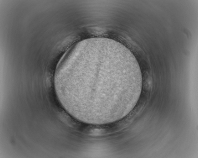 X0000113290658200910131027