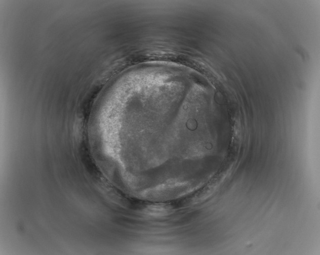 X0000113290659200910131027