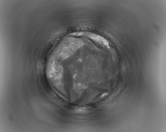 X0000113290661200910131027