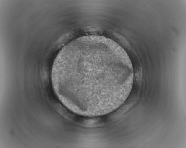 X0000113290662200910131027