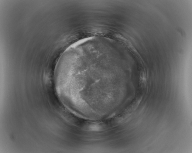 X0000113290663200910131027