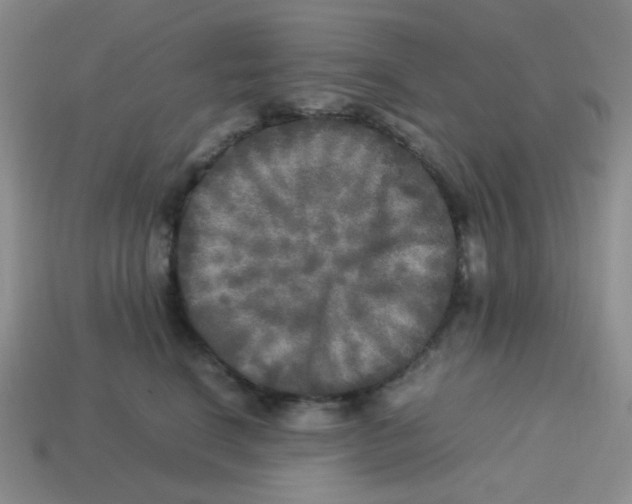 X0000113290664200910131027