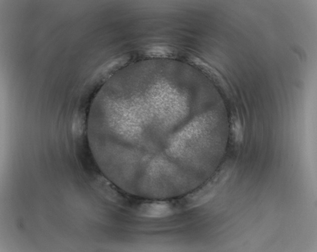 X0000113290665200910131027