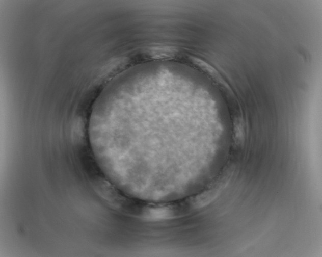 X0000113290667200910131027