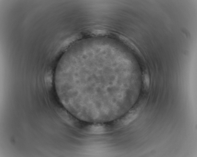 X0000113290668200910131027
