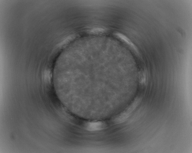 X0000113290669200910131027