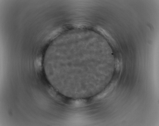 X0000113290670200910131027