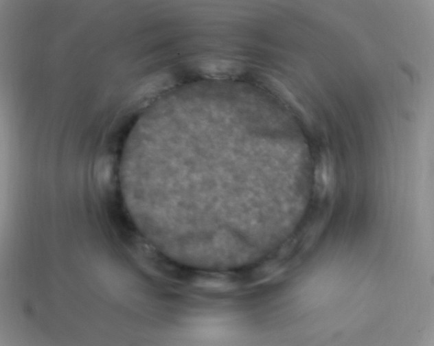 X0000113290671200910131027