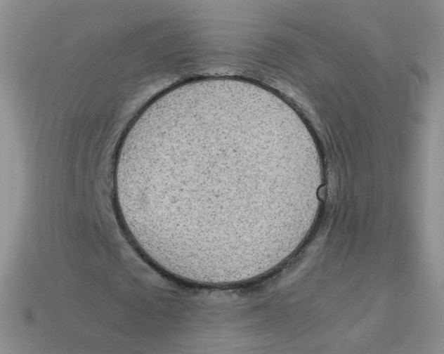 X0000113290673200910131027