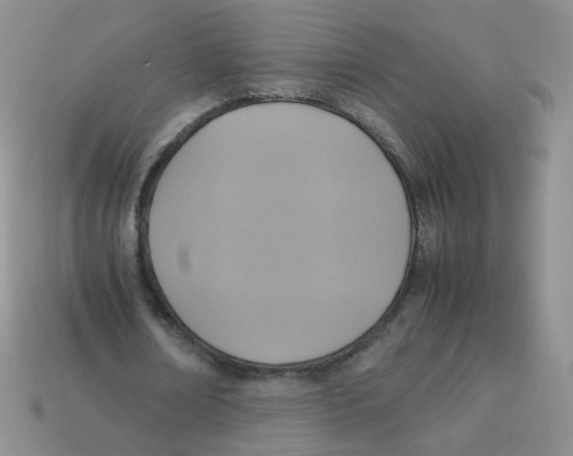 X0000113290674200910131027