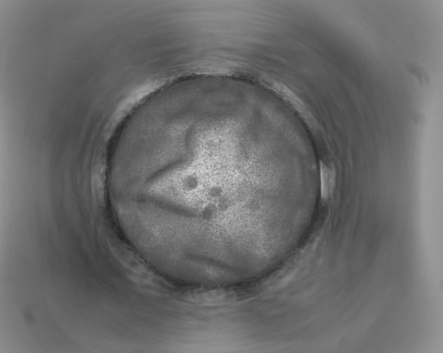 X0000113290675200910131026