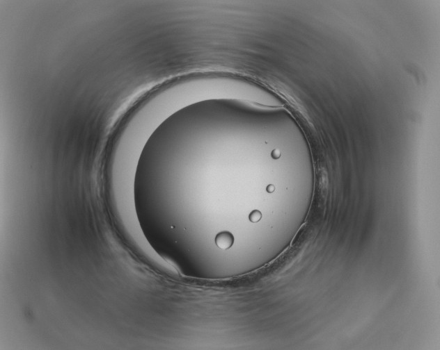 X0000113290676200910131026