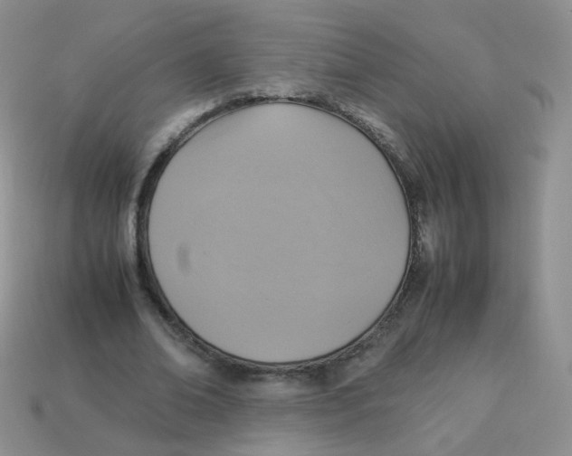 X0000113290678200910131026