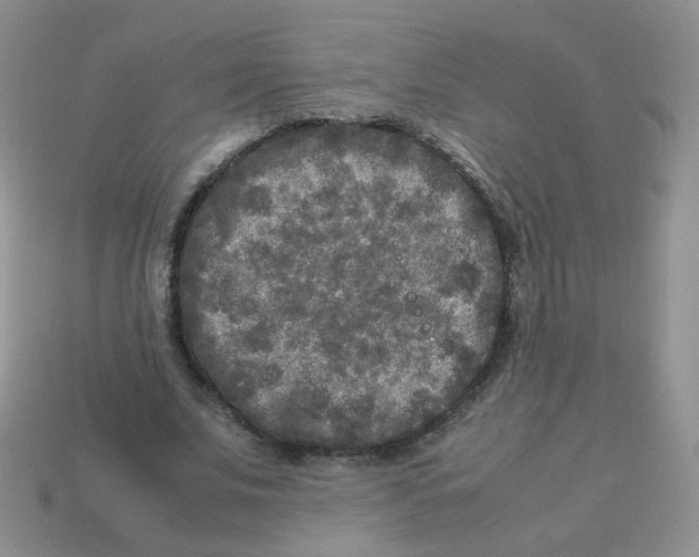 X0000113290679200910131026