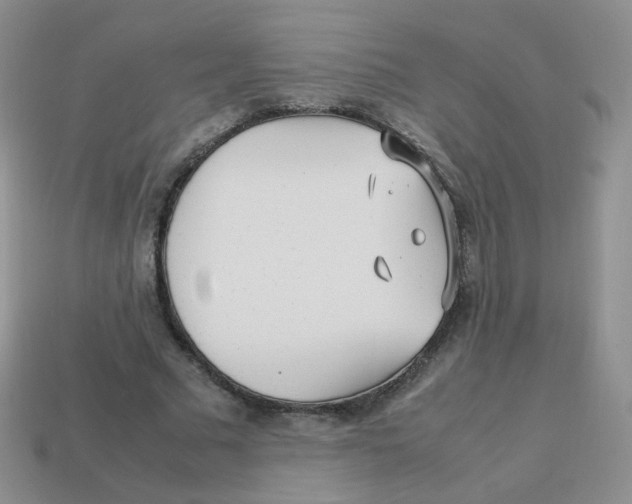 X0000113290681200910131026
