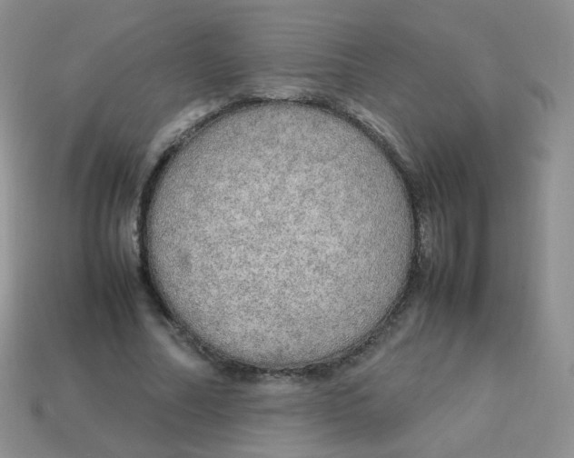 X0000113290682200910131026