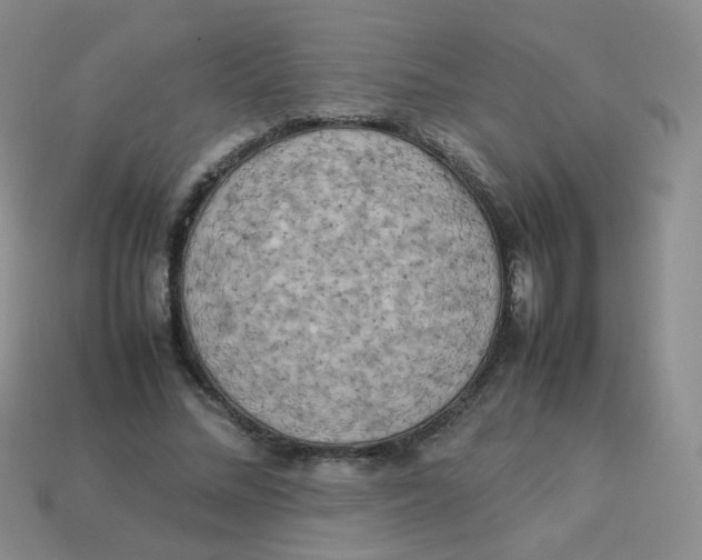 X0000113290684200910131026